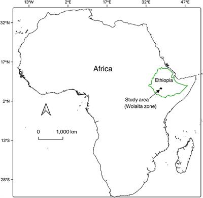 Cassava Production Efficiency in Southern Ethiopia: The Parametric Model Analysis